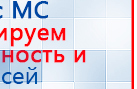 Пояс электрод купить в Киселёвске, Выносные электроды купить в Киселёвске, Дэнас официальный сайт denasdoctor.ru