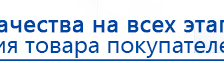 Пояс электрод купить в Киселёвске, Выносные электроды купить в Киселёвске, Дэнас официальный сайт denasdoctor.ru